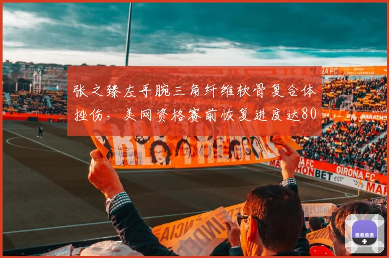张之臻左手腕三角纤维软骨复合体挫伤，美网资格赛前恢复进度达80%